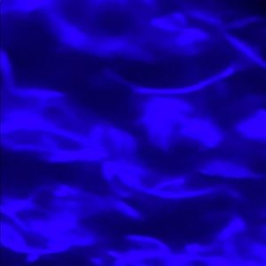 Meet your Posher, Scarlett